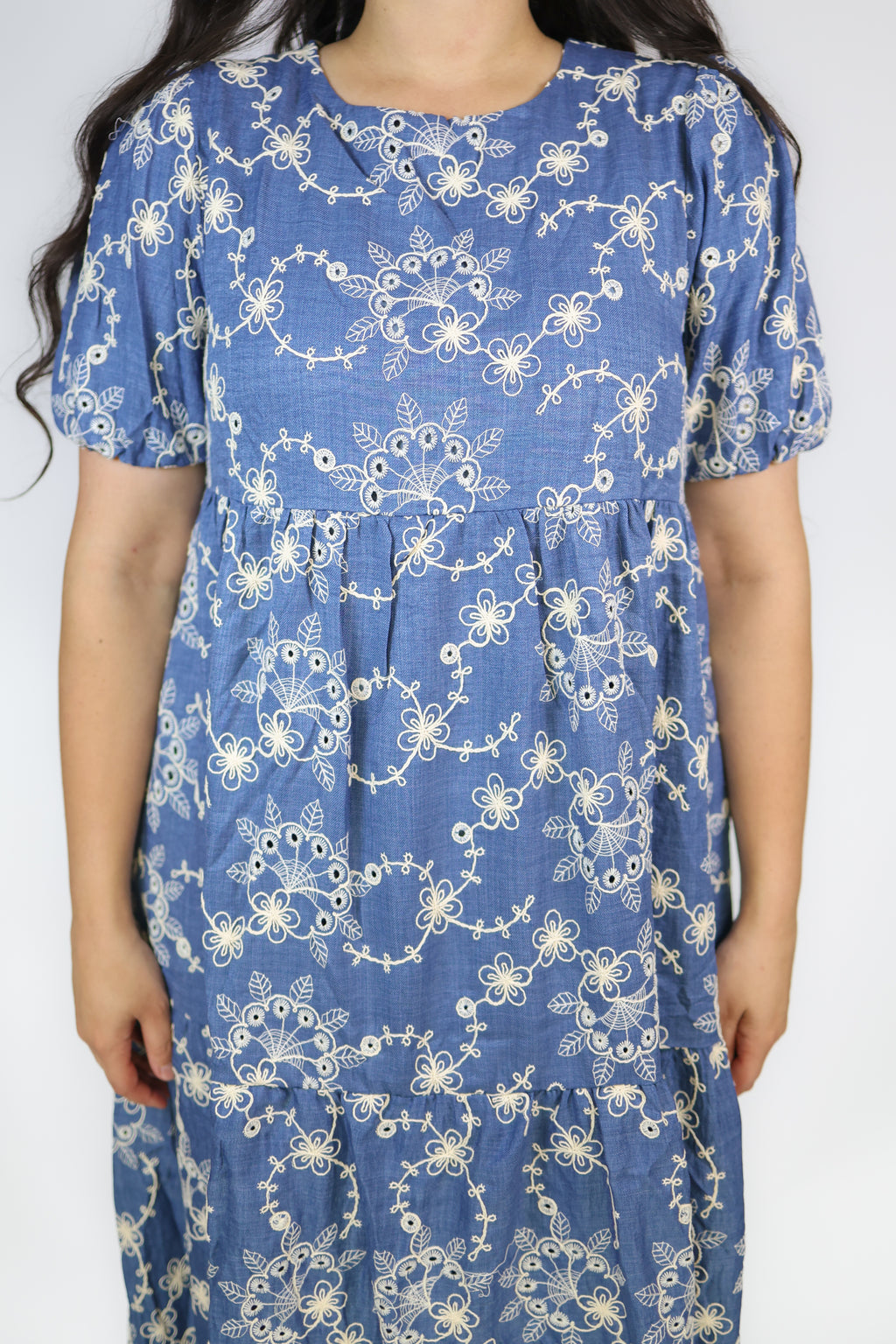 Colette Embroidered Denim Dress