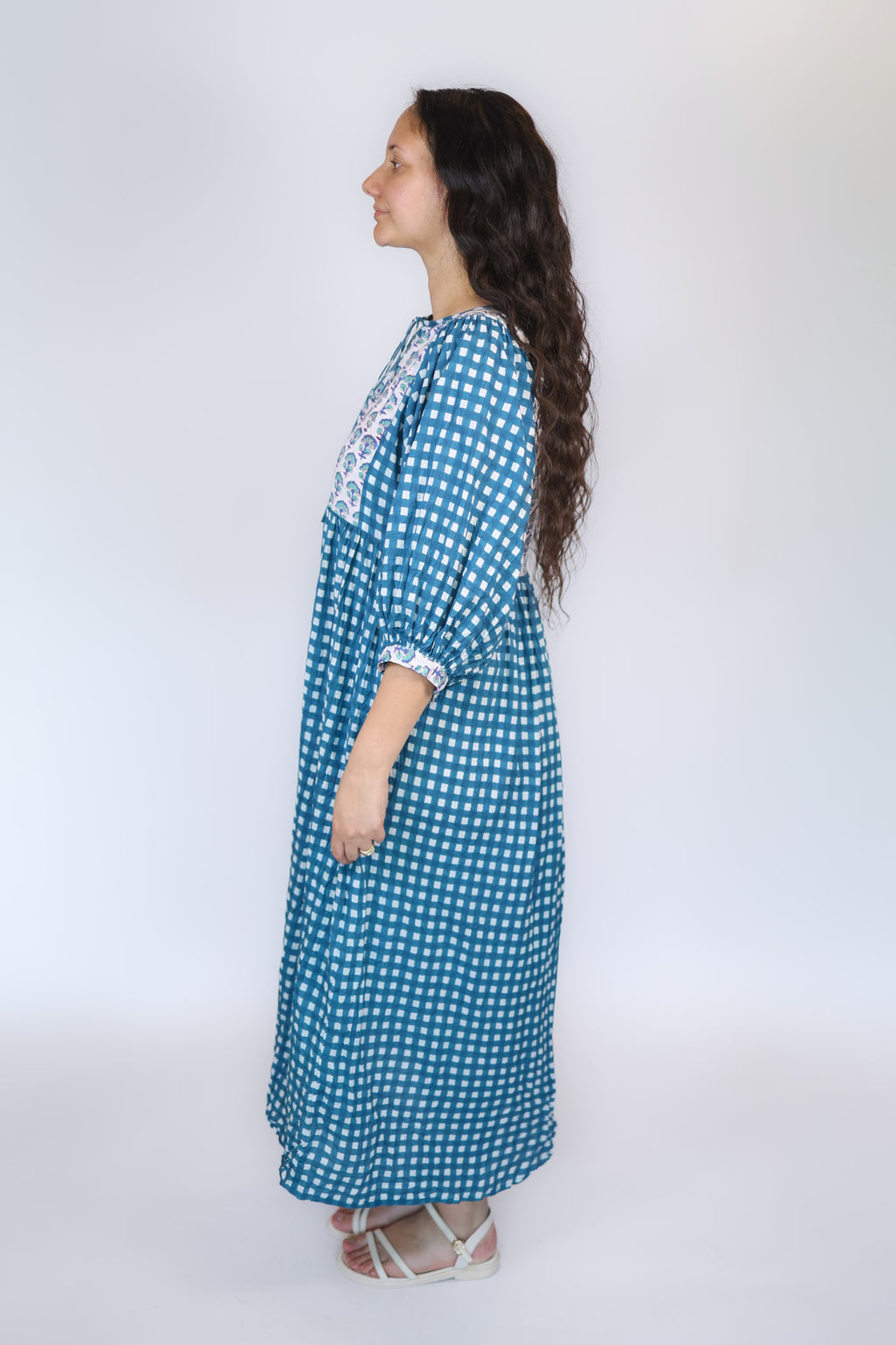 Avani Dress in Blue Gingham